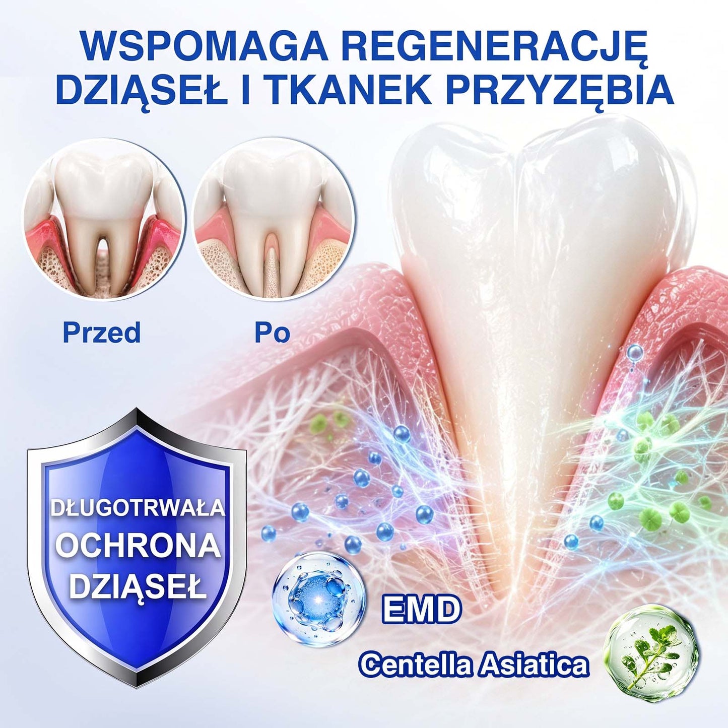 Evolvion® 🦷 GumRevive – żel do regeneracji przyzębia🍎1️⃣