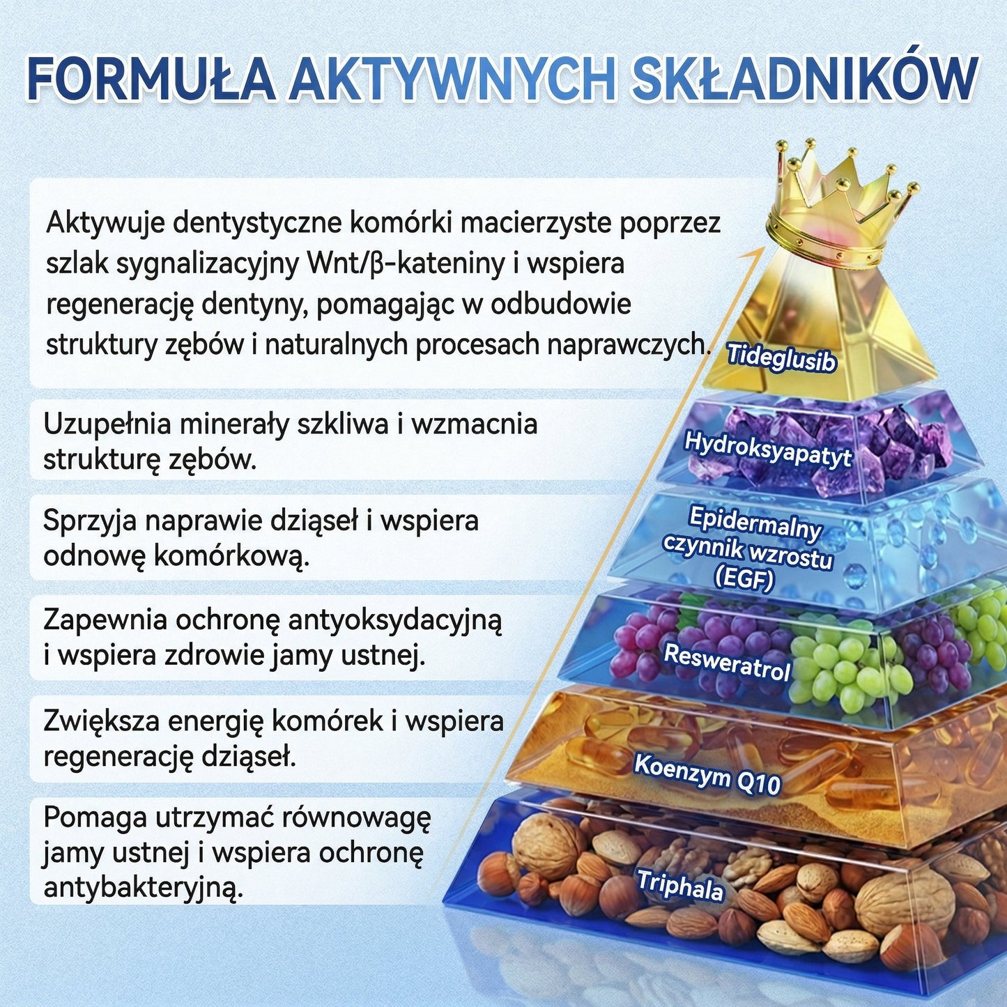 𝑮𝒍𝒊𝒎𝒎𝒆𝒓𝒍𝒚®𝑻𝑰𝑫𝑬𝑮𝑳𝑼𝑺𝑰𝑩  𝒁𝑬𝑩𝒀 & 𝑫𝒁𝑰𝑨𝑺𝑬𝑨 𝑵𝒂𝒑𝒓𝒂𝒘𝒄𝒛𝒚 𝒑𝒍𝒂𝒔𝒕𝒆𝒓 𝒎𝒊𝒌𝒓𝒐𝒊𝒈ł𝒐𝒘𝒚 | Aktywacja komórek macierzystych 👩‍⚕️ (Odbudowa szkliwa i zębiny • Wzmacnianie dziąseł • Usuwanie kamienia i nieświeżego oddechu • Łagodzenie nadwrażliwości zębów)💎